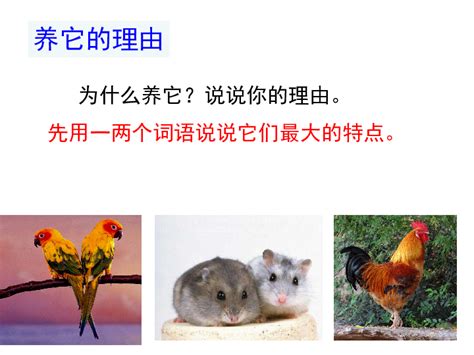 动物-写物作文550字(共计6则)