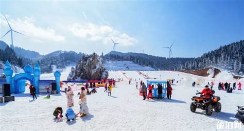 冬天到哪里旅游好