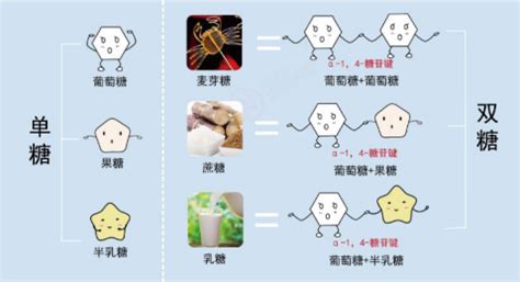 做蛋糕用的糖粉和糖有什么区别