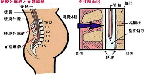 生孩子后有动静是什么意思