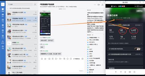 放飞是什么意思