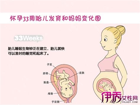 怀孕二十九周胎儿发育情况表