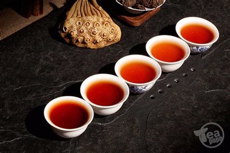 普洱新茶散茶怎么存放,白茶的散茶和饼怎么存放