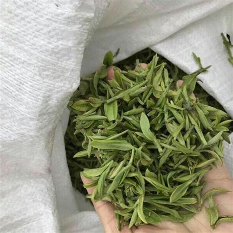 贵茶的图片和价格是多少钱一斤,目前茶叶多少钱一斤