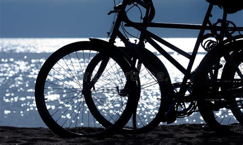 自行车哪里最安全,推荐一款城市骑行自行车?