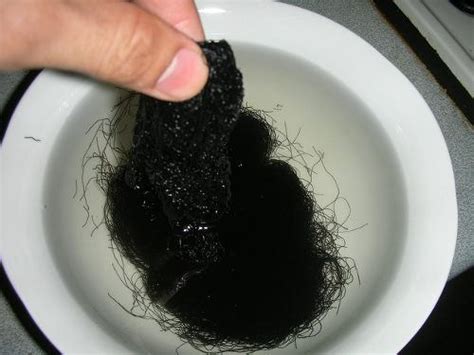 孕妇能吃发菜吗