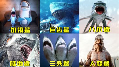 問一部軍事電視劇名