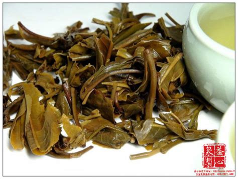 为什么班章新茶比老茶贵,普洱新茶比老茶还贵