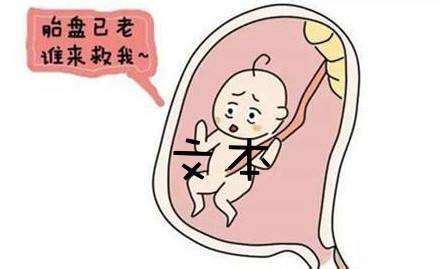 胎儿缺氧多久会死胎会流血吗