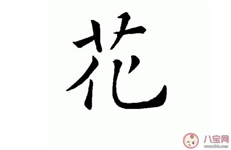 各种花的名字