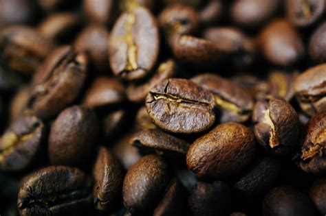 20克咖啡豆有多少克咖啡粉