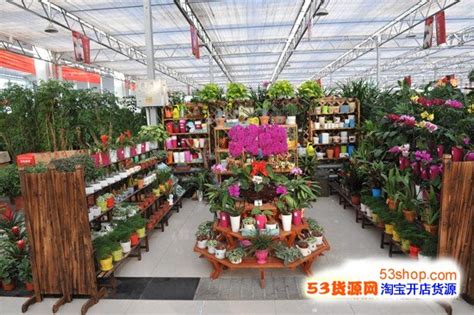 如果我想开个植物店,河间人在哪找货源