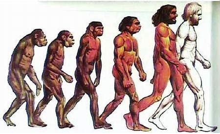 原始人类是如何进化,人类是怎么进化而来的呢