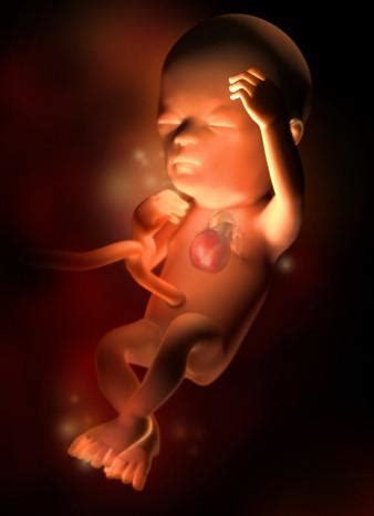 孕晚期胎儿体重每周增加多少
