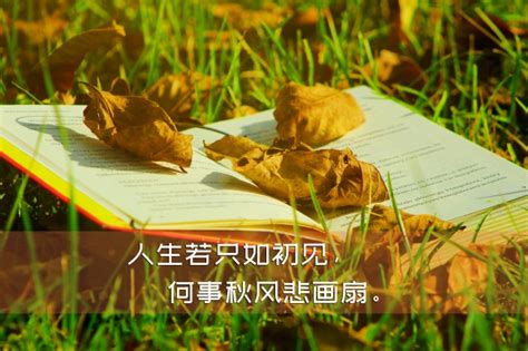 中秋节心情说说句子