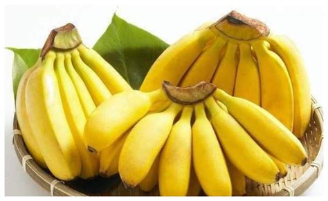 香蕉的意义是什么