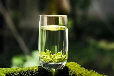 聊一聊绿茶的营养小知识,绿茶提取物是什么意思