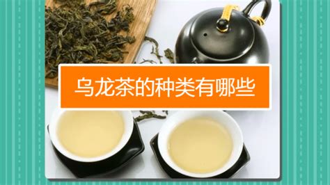 史诗音乐剧《茶道,茶音乐有哪些种类