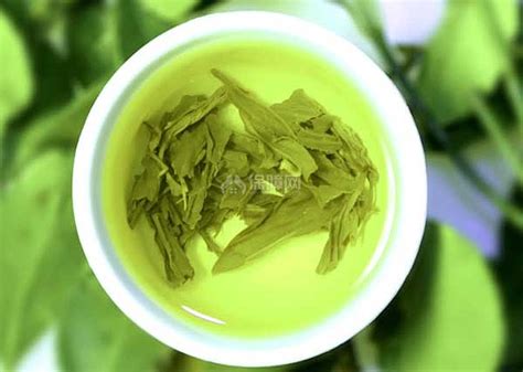 茶种子有什么功能主治,茶叶籽油最健康的提取方法是什么