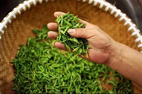 为什么茶叶市场价格,目前茶叶多少钱一斤