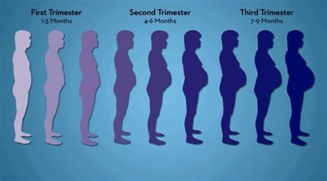女性体重多少适合怀孕