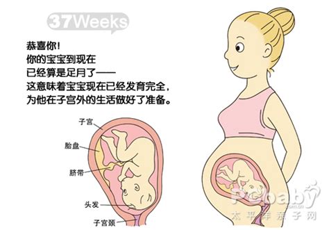 怀孕三十七周胎儿算足月吗
