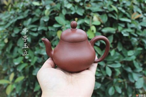 福建的土茶是什么茶,铁观音茶是什么颜色的