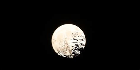 诗文中的月亮意象,月亮表达了什么意象
