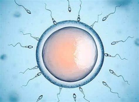 男性精子不液化是什么意思