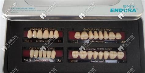 树脂活动假牙与塑钢活动假牙优劣