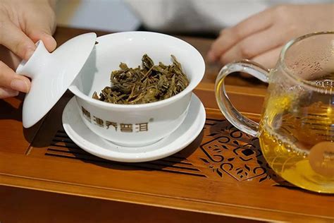 茶艺泡的茶一般是哪些茶,看看你的茶桌上还缺了啥