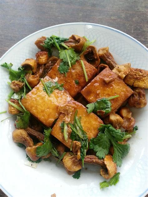 松茸和豆腐可以一起食用吗,轻松生活杂菌裙带菜豆腐汤