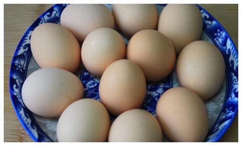 怎么鉴别柴鸡蛋和普通鸡蛋?