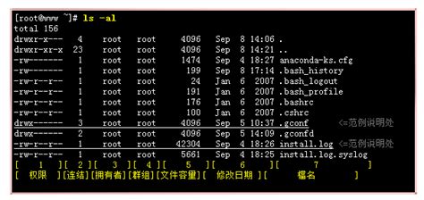 C语言怎么用printf输出字符串.