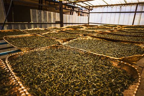 普洱茶制作后怎么保存方法,润元昌普洱茶网
