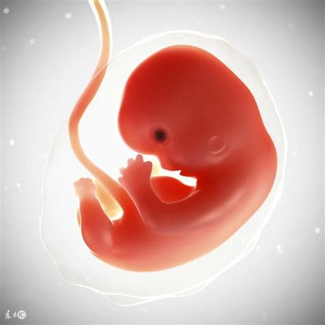 孕期贫血对宝宝发育有什么影响