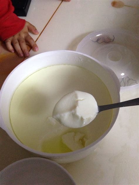 学生自制酸奶怎么做,家庭自制酸奶怎么做