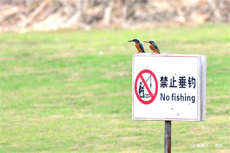 禁止釣魚模板,公園完全禁止釣魚