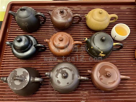 用什么茶养紫砂壶好,白茶适合用什么茶具冲泡