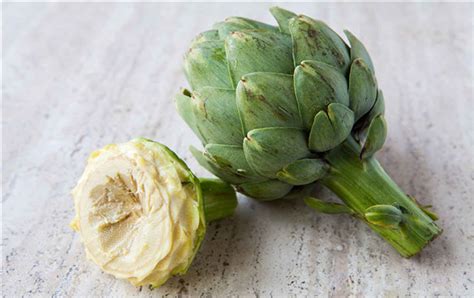 HARVEST ARTICHOKES是什么意思