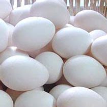 您所买的大雁蛋可能是鹅蛋,怎么分出鹅蛋和大雁蛋